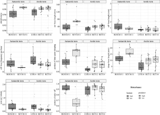 Incubation behaviour of Arctic (Sterna paradisaea) and Antarctic (Sterna vittata) terns under disturbance by humans and predators