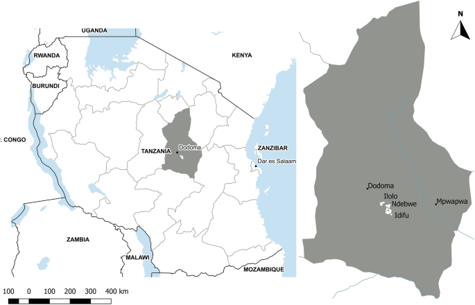 Assessment of Nitrogen Management on Sunflower Yield and Its Economic Response in Smallholder Farms in a Semi-Arid Region