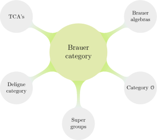 The Representation Theory of Brauer Categories I: Triangular Categories