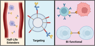 Therapeutic Fusion Proteins.