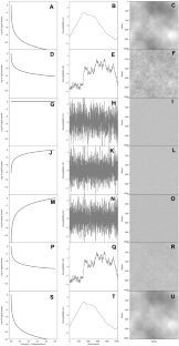 Effect of temporal and spatial noise colour in insect outbreak frequency