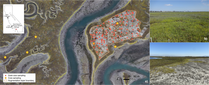 Increasing Salt Marsh Elevation Using Sediment Augmentation: Critical Insights from Surface Sediments and Sediment Cores