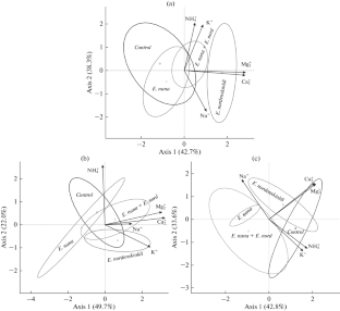 Influence of the Invasive Earthworm Eisenia nana (Lumbricidae) on the Content of Water-Soluble Forms of Cations (N
 
 
 
 $${\text{H}}_{4}^{ + }$$
 
 , K^+, Na^+, Mg^2+, Ca^2+) in Soil