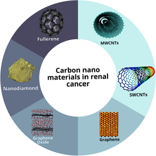 Therapeutic applications of carbon nanomaterials in renal cancer.