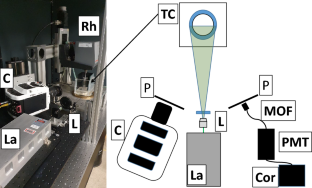 Spatiotemporal boundary dissipation measurement in Taylor–Couette flow using diffusing-wave spectroscopy