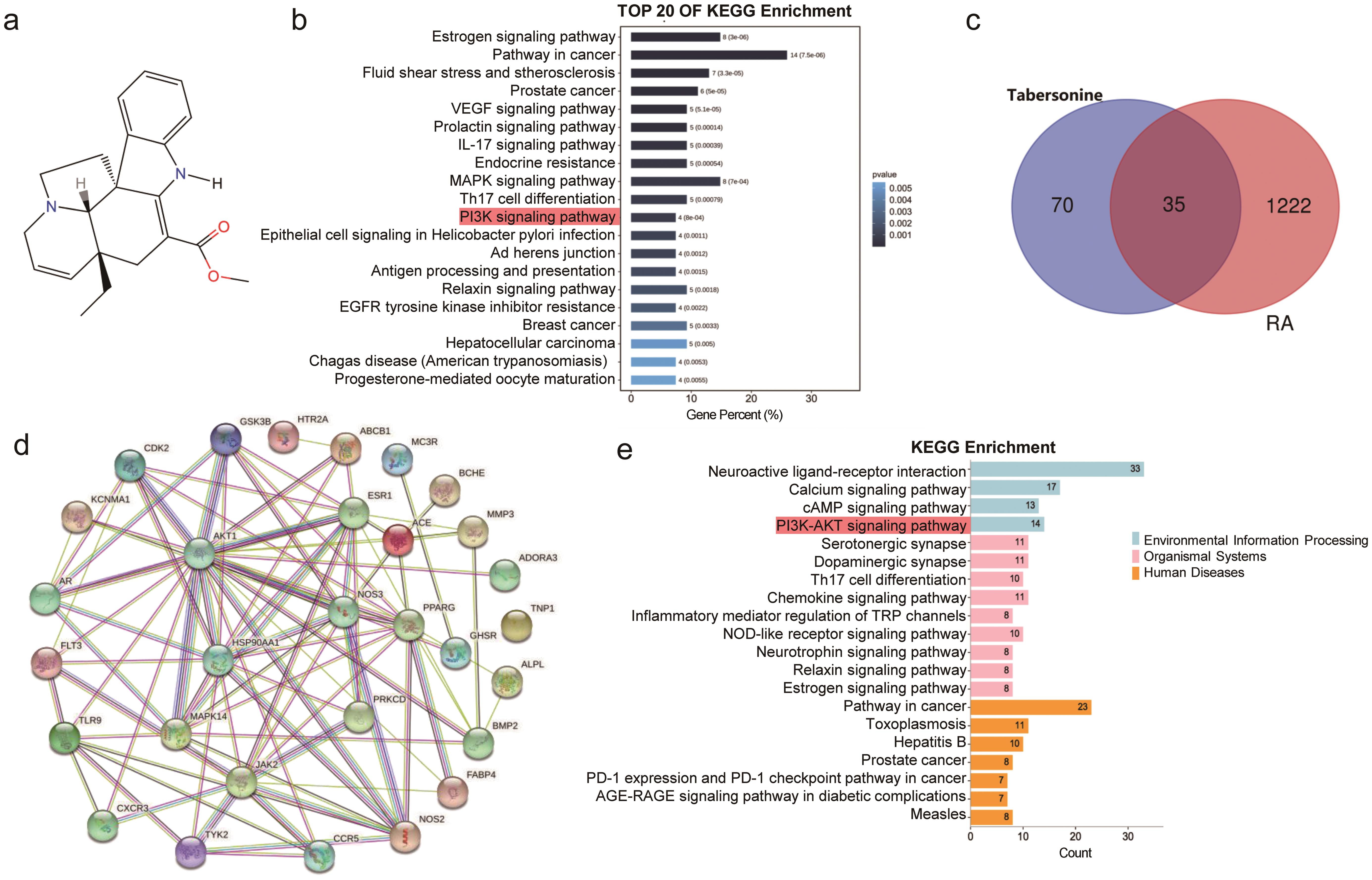 Anti-inflammatory Effects of Tabersonine in Rheumatoid Arthritis