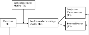 How careerists use LMX as a strategy to achieve power and career success? A moderated mediation model