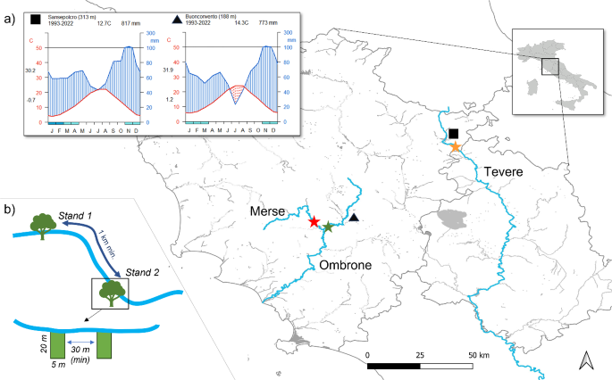 Riparian forests throwback at the Eurasian beaver era: a woody vegetation assessment for Mediterranean regions