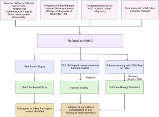 Approach Toward Germline Predisposition Syndromes in Patients with Hematologic Malignancies.