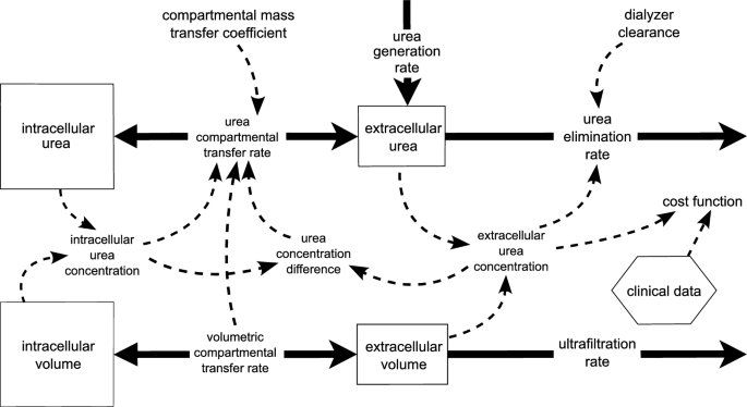 Rapid prototyping of multi-compartment models for urea kinetics in hemodialysis: a System Dynamics approach.