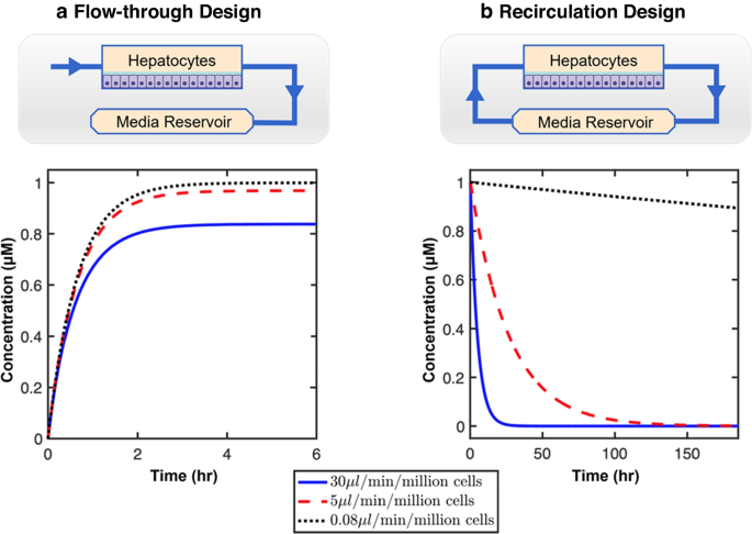 A Novel Milli-fluidic Liver Tissue Chip with Continuous Recirculation for Predictive Pharmacokinetics Applications.