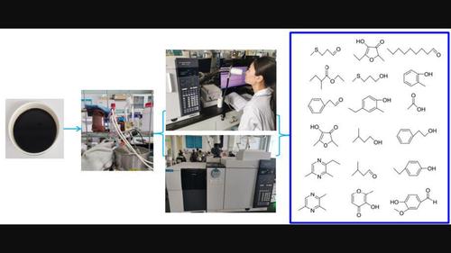 Comparison of potent odorants in high-salt liquid-state fermentation soy sauce before and after sterilization