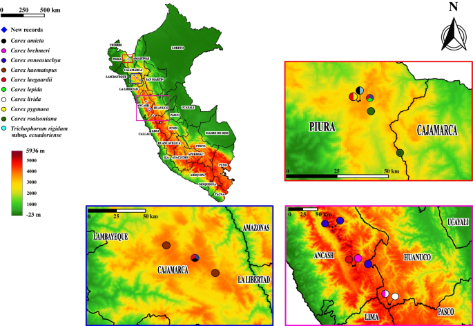 New relevant chorological data on sedges (Cyperaceae) of Peru