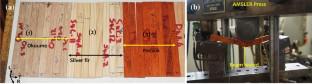 Comparative investigation on viscoelastic and mechanosorptive creep behavior of two tropical hardwoods and one temperate softwood