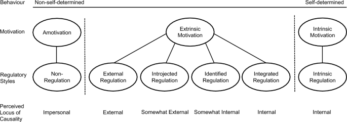 A micro-level study of research impact and motivational diversity