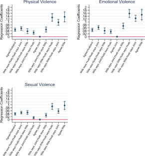 Sharing responsibility through joint decision-making and implications for intimate-partner violence: evidence from 12 Sub-Saharan African Countries