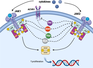 A Journey Through JAK Inhibitors for the Treatment of Myeloproliferative Diseases.