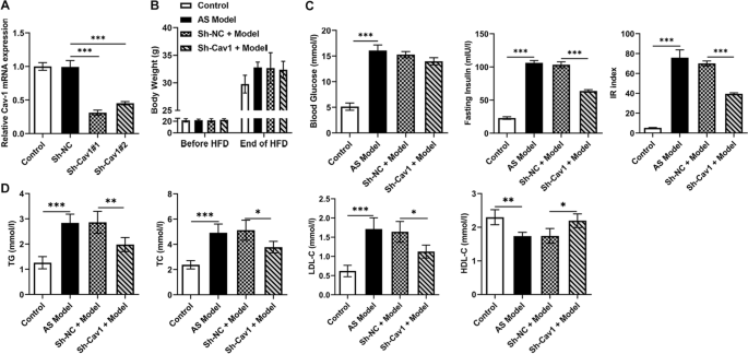 Insulin Resistance Triggers Atherosclerosis: Caveolin 1 Cooperates with PKCzeta to Block Insulin Signaling in Vascular Endothelial Cells.