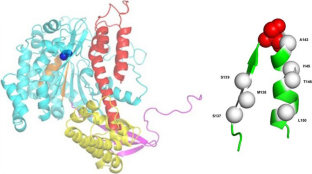 Site-Directed Spin Label EPR Studies of the Structure and Membrane Interactions of the Bacterial Phospholipase ExoU