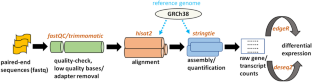 RNA Sequencing of Intraoperative Peritumoral Tissues Reveals Potential Pathways Involved in Glioma-Related Seizures