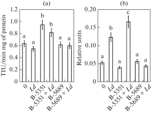 Producing Cry-Toxins Endophytic Bacteria as an Alternative to Transgenic Plants to Protect Potato Plants against Colorado Potato Beetle