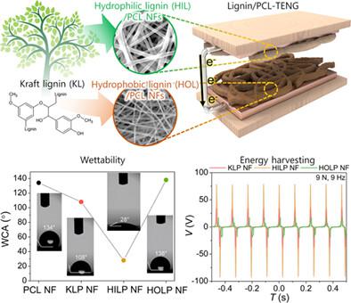 Performance‐enhanced eco‐friendly triboelectric nanogenerator via wettability manipulation of lignin