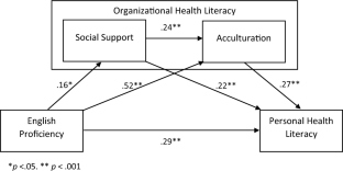 Impact of English Proficiency on Health Literacy in Older Korean Immigrants: Mediating Effects of Social Support and Acculturation.