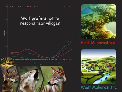 Silencing the call of the wild – howling behaviour and responses of the wolf to Anthropocene in India