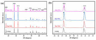 Novel Sn-Doped WO_3 Photocatalyst to Degrade the Organic Pollutants Prepared by Green Synthesis Approach