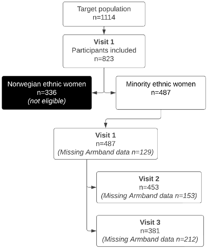 Cross-Cultural Contact and Norwegian Language Skills Among Ethnic Minority Women in Norway, and Relationship with Physical Activity in Pregnancy and Postpartum: The STORK-Groruddalen Cohort Study.