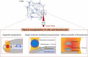 Recent advances in optical manipulation of cells and molecules for biological science