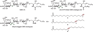 Synthesis and biological activity of ganglioside GM3 analogues with a (S)-CHF-Sialoside linkage and an alkyne tag.