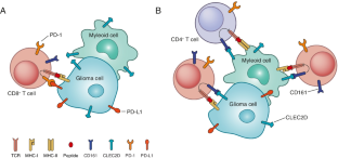 A Conceptual Framework for Inducing T Cell-Mediated Immunity Against Glioblastoma.