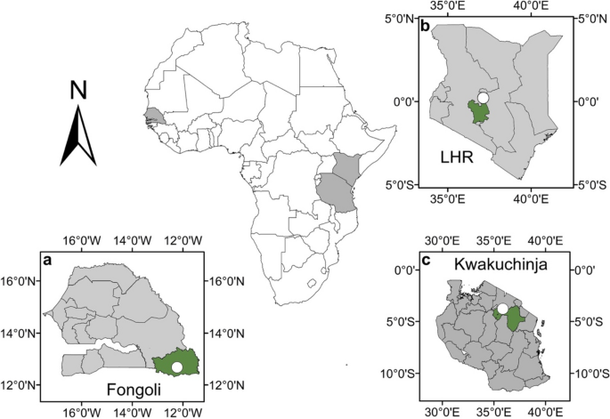 Activity Budget and Sociality of the Northern Lesser Galago, Galago senegalensis