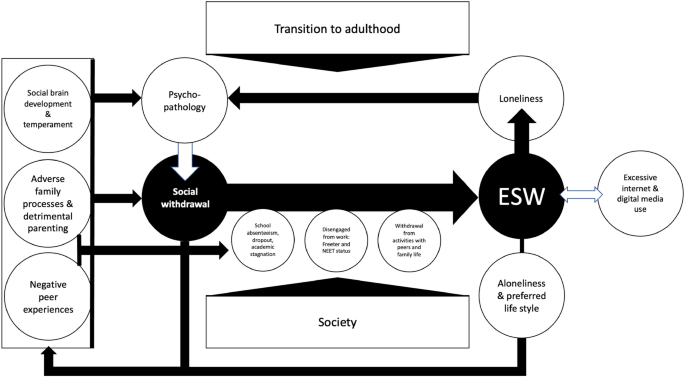 Contemporary Hermits: A Developmental Psychopathology Account of Extreme Social Withdrawal (Hikikomori) in Young People.