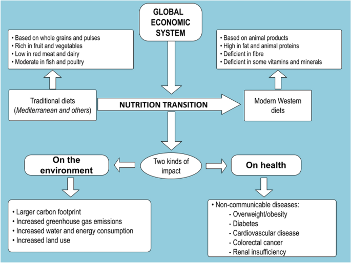 The dominant model of meat production and consumption as a socially acute question for activist education