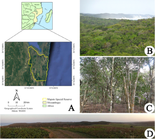 Contributions to the floristic and vegetation knowledge of Maputo National Park, Mozambique