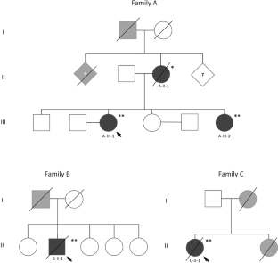 Adult-onset Alexander disease among patients of Jewish Syrian descent.