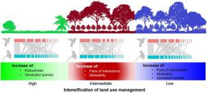 Shade coffee plantations favor specialization, decrease robustness and increase foraging in hummingbird-plant networks