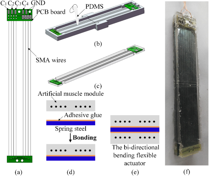 A Soft Robotic Fish Actuated by Artificial Muscle Modules (SoRoFAAM-1)