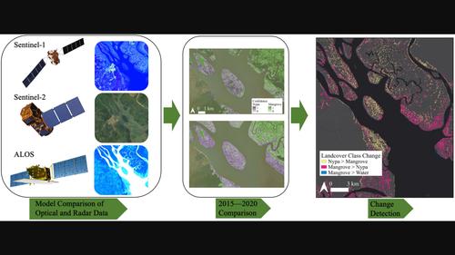 Invasion in the Niger Delta: remote sensing of mangrove conversion to invasive Nypa fruticans from 2015 to 2020