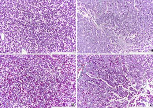 Individual and combined effects of deoxynivalenol (DON) with other Fusarium mycotoxins on rainbow trout (Oncorhynchus mykiss) growth performance and health.