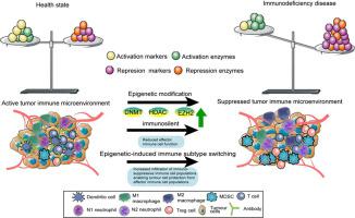 Targeting the chromatin structural changes of antitumor immunity