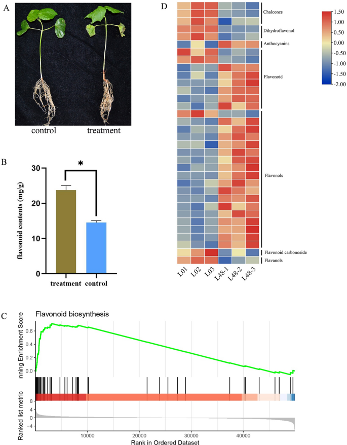 A flavonol synthase (FLS) gene, GhFLS1, was screened out increasing salt resistance in cotton