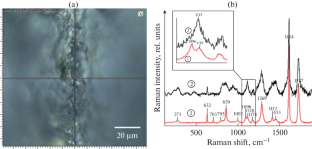 Assessment of Microplastic Degradation in Bottom Sediments Using Raman Microspectroscopy and Atomic Force Microscopy