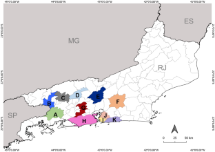 Morphological and Genetic Variation Among Callithrix Hybrids in Rio de Janeiro, Brazil