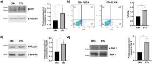 Pharmacological Inhibition of p-21 Activated Kinase (PAK) Restores Impaired Neurite Outgrowth and Remodeling in a Cellular Model of Down Syndrome.