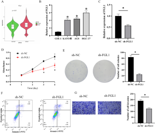 FGL1 Promotes Tumor Immune Escape in Stomach Adenocarcinoma via the Notch Signaling Pathway.