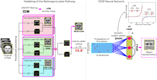 Efficient multi-scale representation of visual objects using a biologically plausible spike-latency code and winner-take-all inhibition.