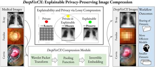 DeepFixCX: Explainable privacy‐preserving image compression for medical image analysis